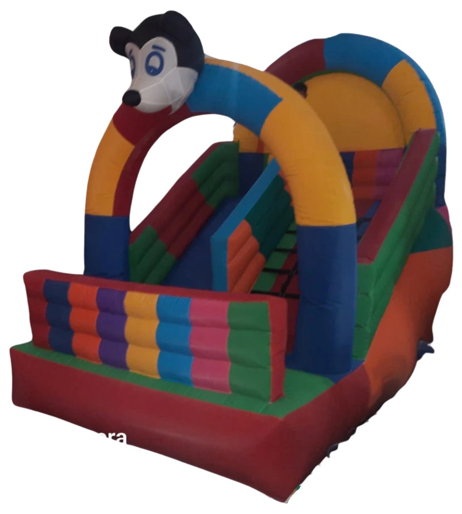 3 Lane Bouncy Castle Inflatable Slide Manufacturers in Delhi, India - Custom Inflatables