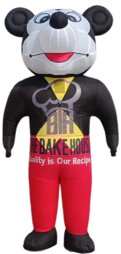 Inflatable Bouncy Manufacturers in Delhi, India - Custom Inflatables