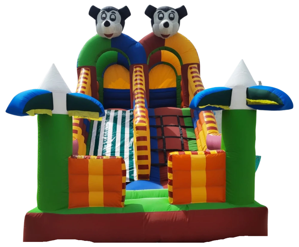 Inflatable Sliding Bouncy Castle Manufacturers in Delhi, India - Custom Inflatables