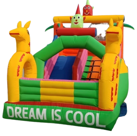 Small Bouncy Castle Manufacturers in Delhi, India - Custom Inflatables