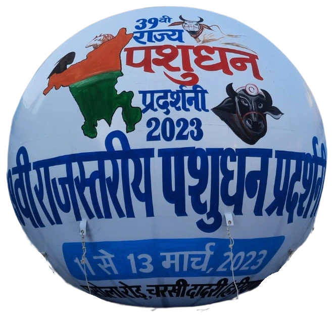 White Sky Balloon Manufacturers in Delhi, India - Custom Inflatables