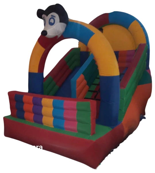3 Lane Bouncy Castle Inflatable Slide | A One Sky Balloons Delhi