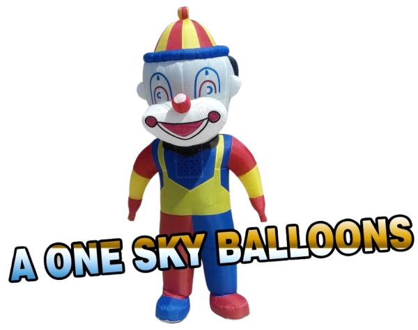 Inflatable Water Ball | A One Sky Balloons Delhi
